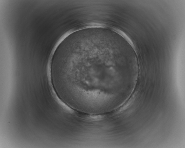 X0000115411243200911101605