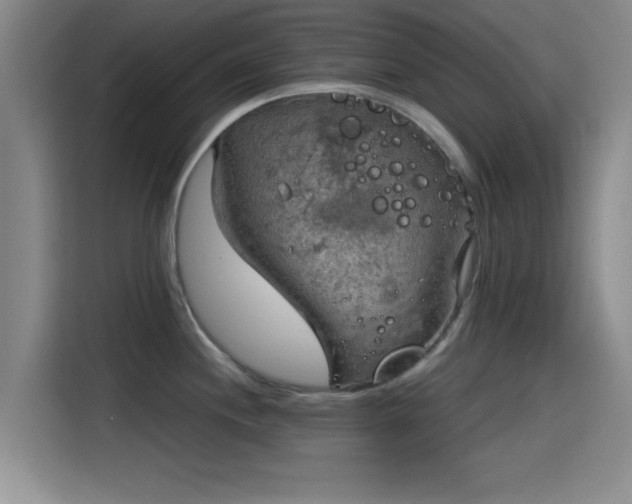 X0000115411244200911101605