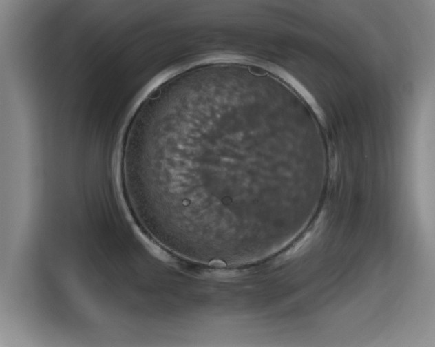 X0000115411245200911101605