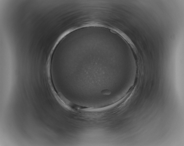 X0000115411246200911101605