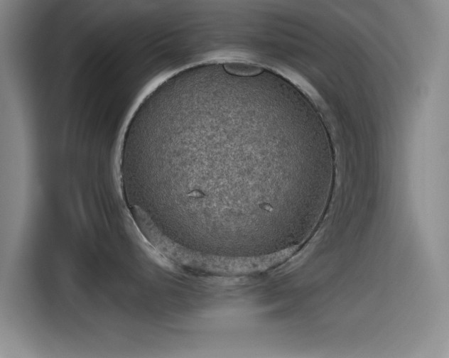 X0000115411248200911101605