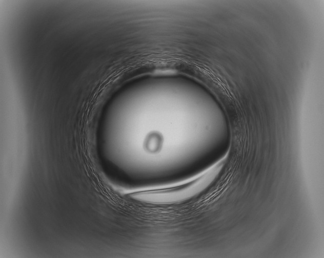 X0000115411249200911101604