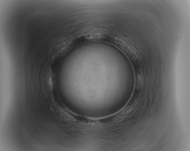 X0000115411250200911101604