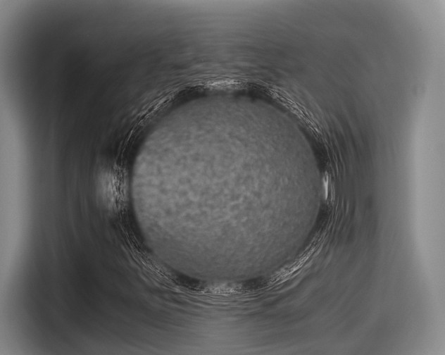 X0000115411251200911101604