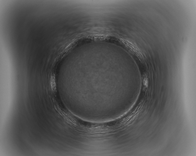 X0000115411252200911101604