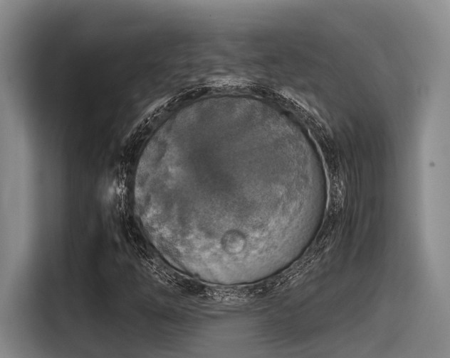 X0000115411254200911101604