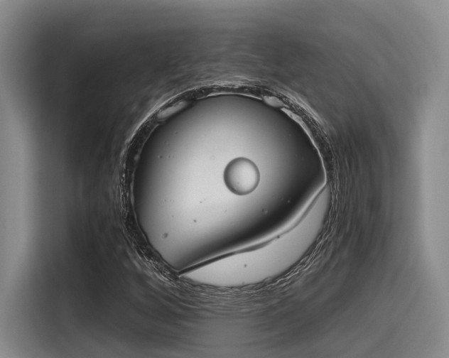 X0000115411256200911101604