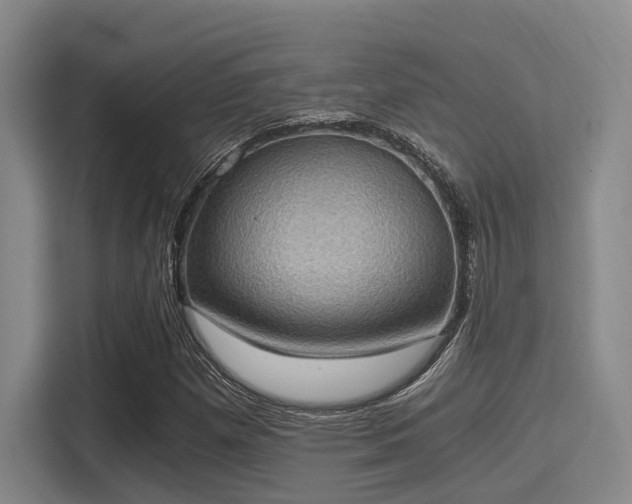 X0000115411257200911101604