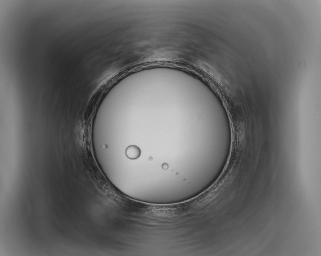 X0000115411258200911101604