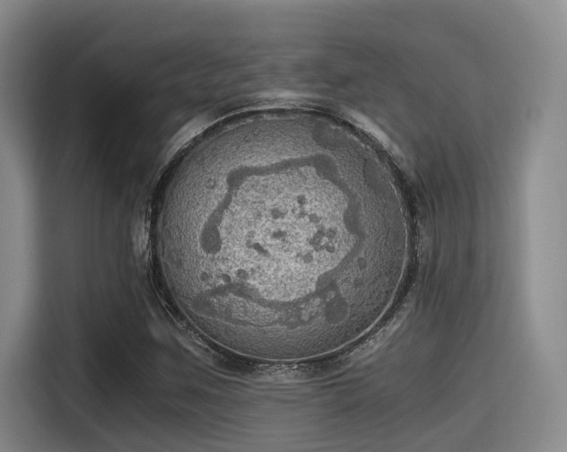 X0000115411259200911101604