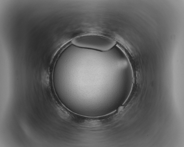 X0000115411260200911101604