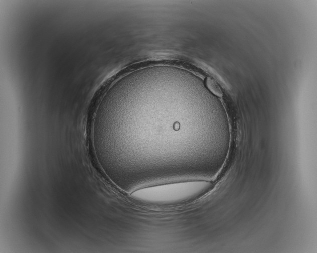 X0000115411261200911101604
