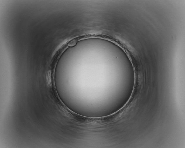 X0000115411262200911101604