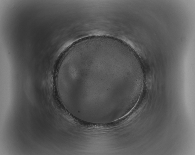X0000115411263200911101604