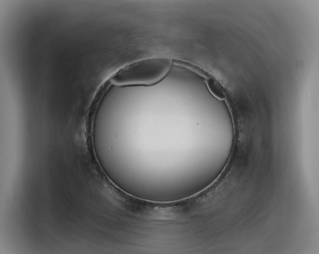 X0000115411264200911101604