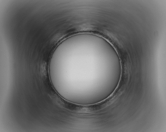 X0000115411265200911101604