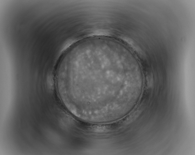 X0000115411266200911101604