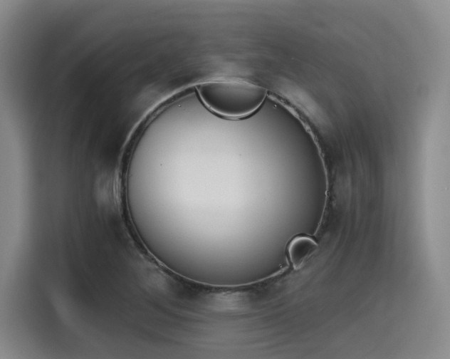 X0000115411268200911101604