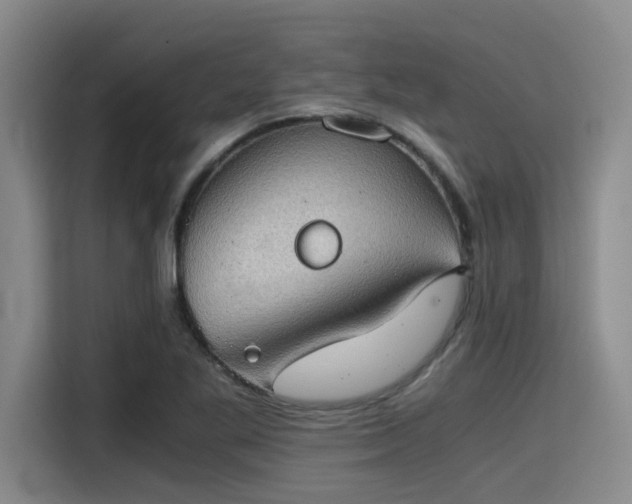 X0000115411269200911101604