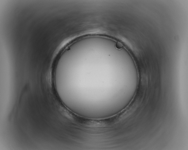 X0000115411270200911101604