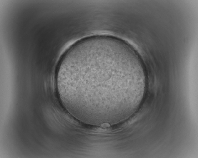 X0000115411271200911101604