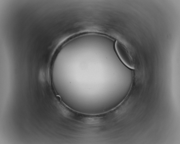 X0000115411272200911101604
