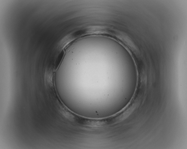 X0000115411273200911101604