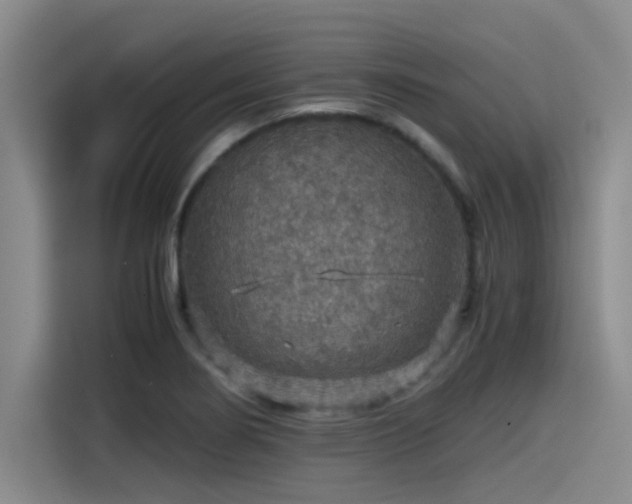 X0000115411274200911101604