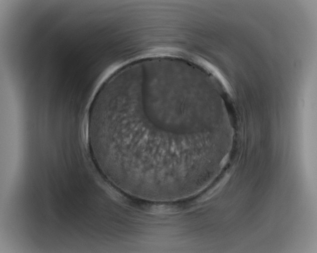 X0000115411275200911101604
