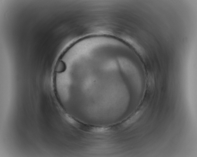 X0000115411278200911101604