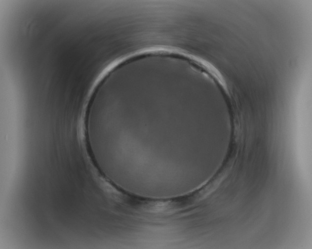 X0000115411279200911101604