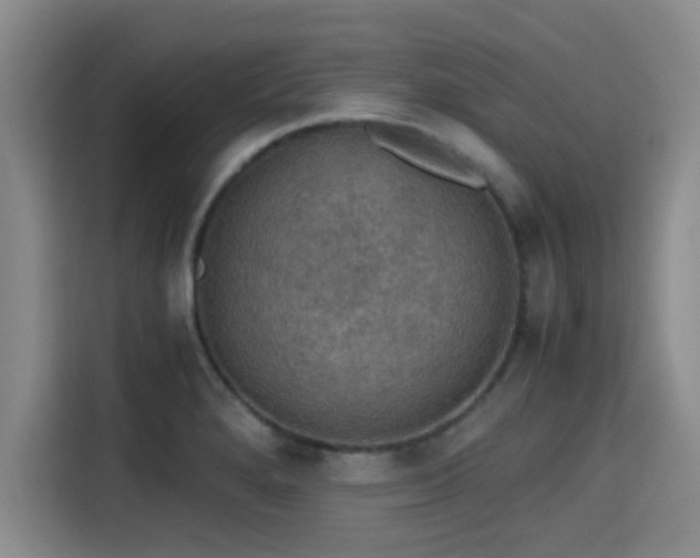 X0000115411280200911101604