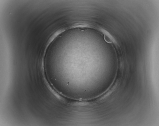 X0000115411282200911101604