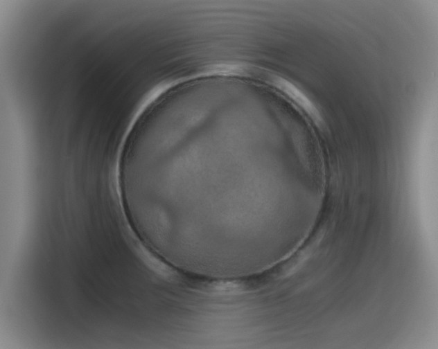 X0000115411283200911101604
