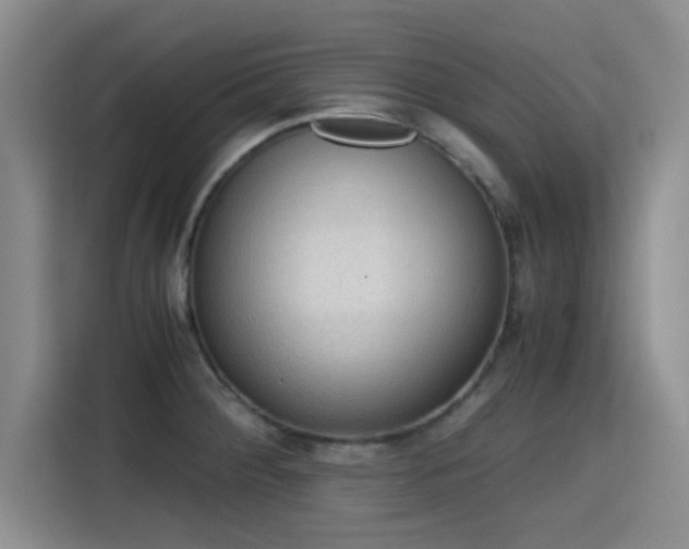 X0000115411284200911101604