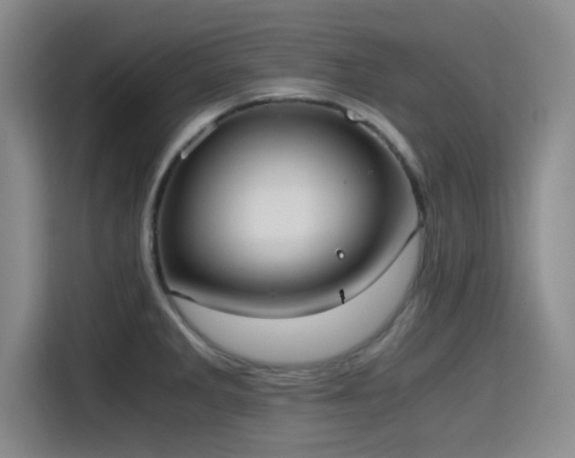 X0000115411285200911101604