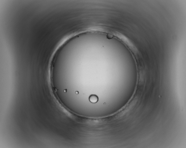 X0000115411286200911101604