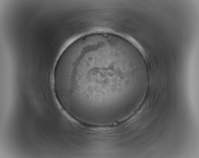 X0000115411287200911101604