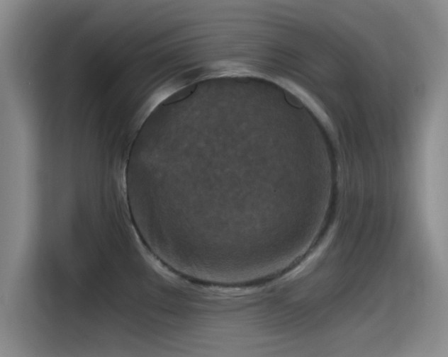 X0000115411289200911101604