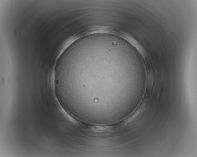 X0000115411290200911101604