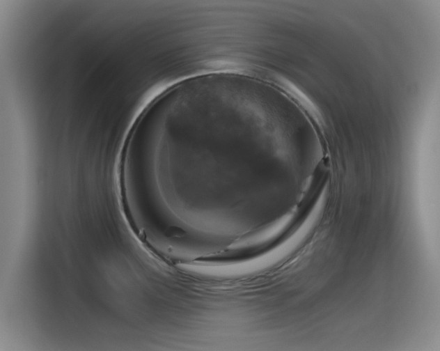 X0000115411291200911101604