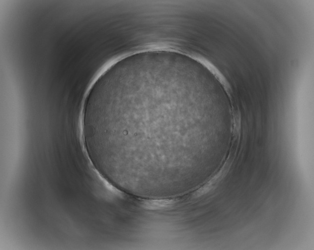 X0000115411294200911101604