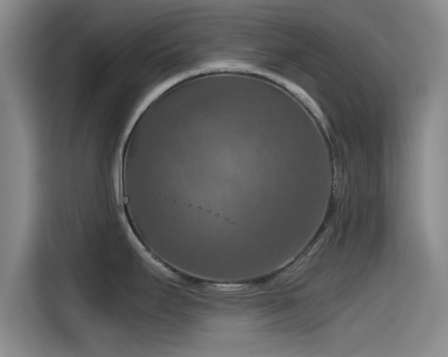 X0000115411295200911101604