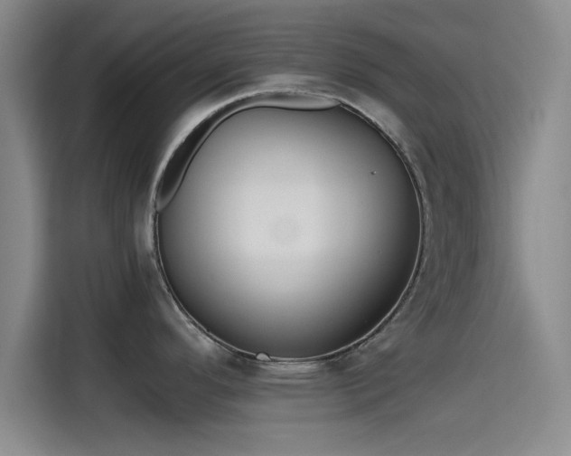 X0000115411296200911101604