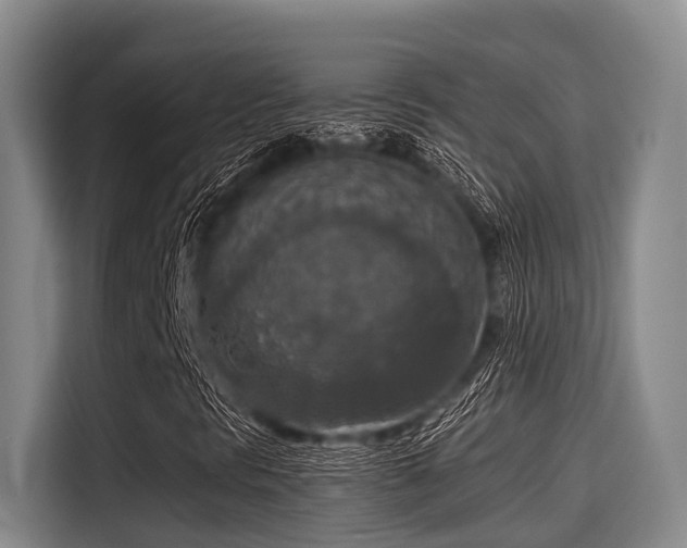 X0000115411297200911101603