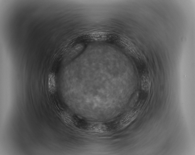 X0000115411298200911101603
