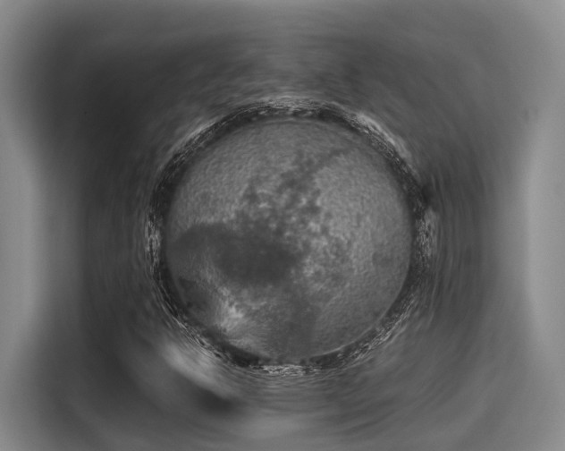 X0000115411302200911101603