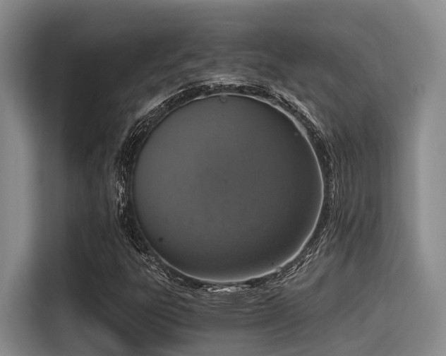 X0000115411303200911101603