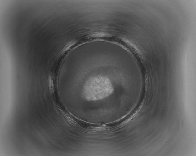 X0000115411305200911101603