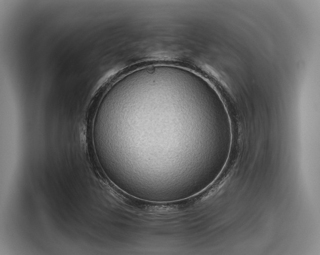 X0000115411307200911101603